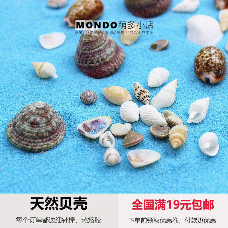 Mini Small Shells Sea Snail Rainbow Bottle Diy Material Moss Microscape Pendulum with water straw vat full RMB19
