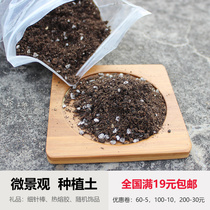 Plant nutrient soil Moss soil micro landscape diy material indoor flower peat soil planting flower medium full