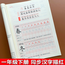 First-year under a Chinese-language textbook for synchronization characters miao hong ben practice copybook portion series Pep copy xie zi ben