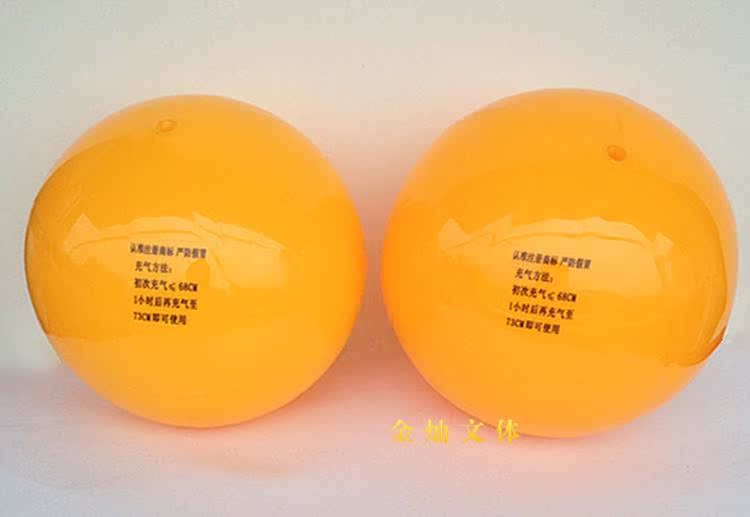 Ballon de volley-ball - Ref 2011270 Image 14