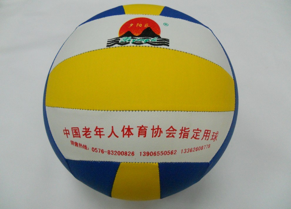 Ballon de volley-ball - Ref 2009539 Image 3