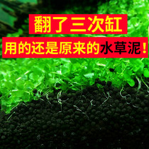 Water Grass Fish Tank Made View Water Grass Mud Bottom Sand Aquarium Bottom Sand With Matrix Fertilizer Professional Ada Water Grass Clay