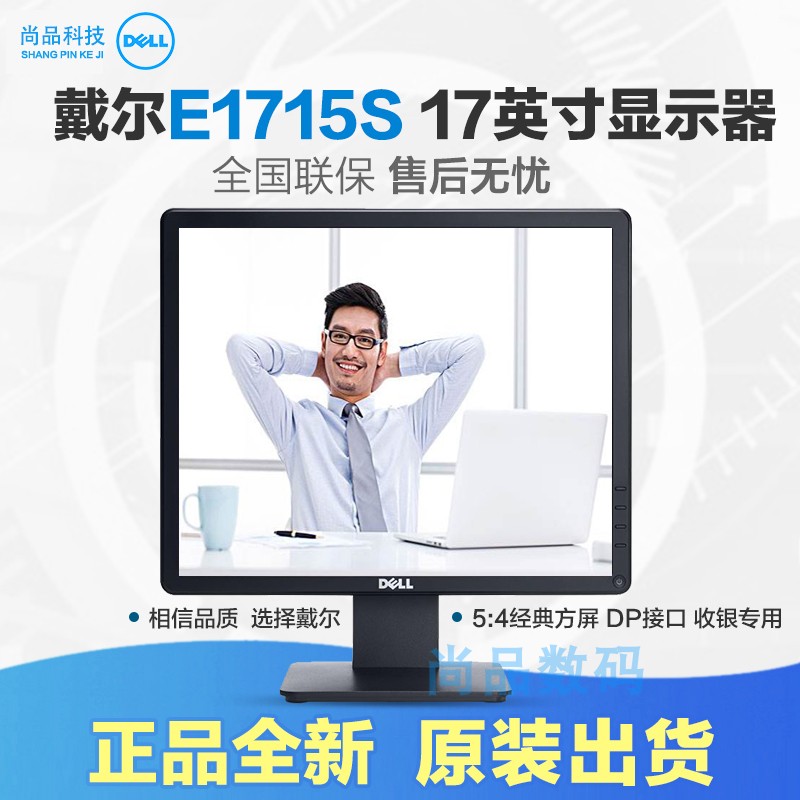 Dell Dell E1715S Monitor LCD Display 17-inch anti-glare founder Screen 5:4 Wall mount