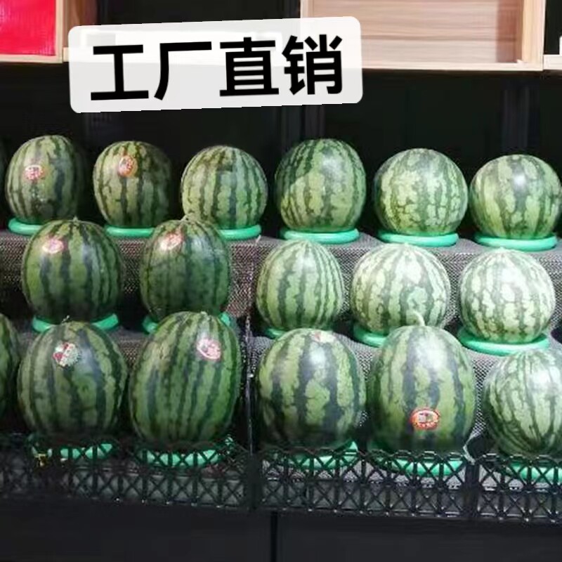 Fruit holder put watermelon ring melon holder pad cantaloupe durian display display base plastic ring throw ring