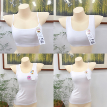 Foreign Trade Day Single Youth Fat Teenage Girl Pure Cotton Underwear Harness Vest Style Students No Steel Ring Bra Small Vests