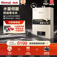 Rinnai/林内 JSQ31-C08W+ SG16L Water Servo Официальный официальный домик водонагревателя с нулевым холодным газом