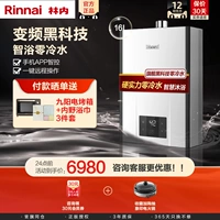 Rinnai/林内 JSQ31-R32F Газовый водонагреватель с нулевым холодным водой в одном из природного газа Сильный сброс мороз
