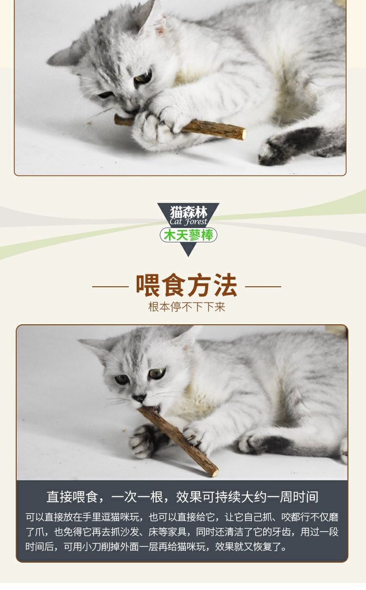 Cat Forest Wood Scorpio Cat Cung cấp Cây Cleansing Rod Cat Snack Bites Rod 6 Wood Scorpio Rod Cat Molar Rod whiskas cho mèo con