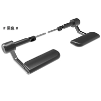 Черный (время замечаний в момент времени)