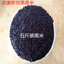2021 New Black Fragrant Rice (Five Jin) Black Rice Black Rice Grain Rice Black Rice Rice Grain Farmhouse Black Rice