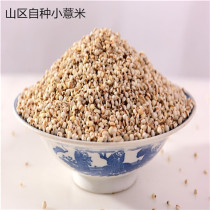 New goods plateau small barley (five catties) farmhouse barley grains pure natural barley rice to drive away moisture