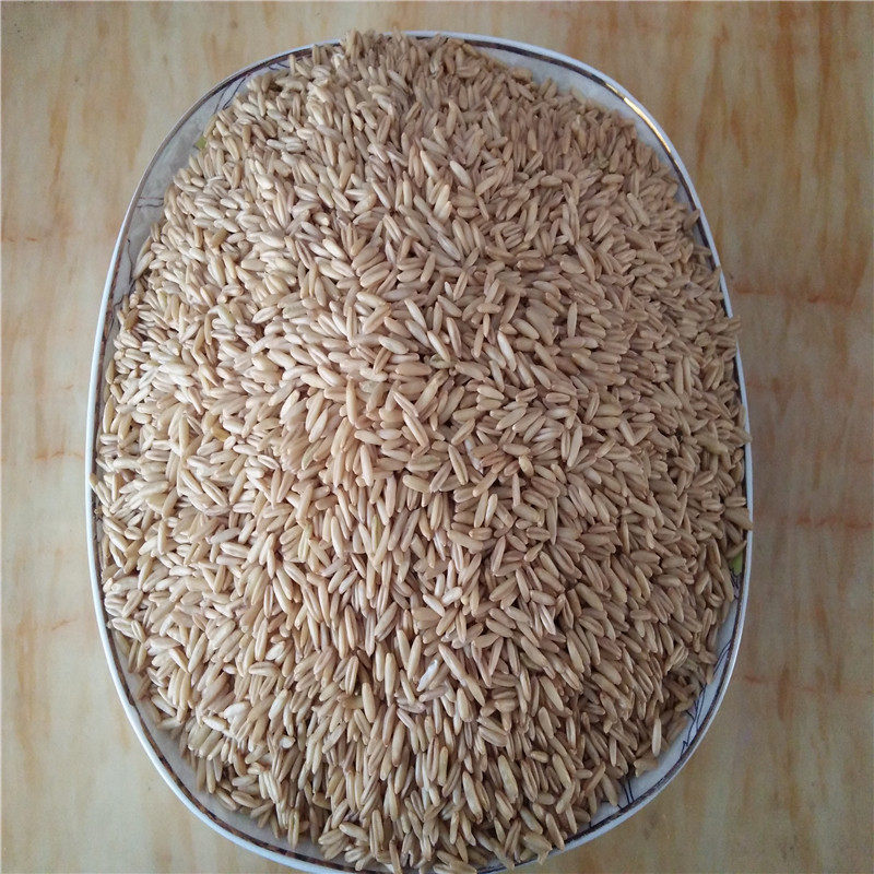 2021 new stock of oat rice (five catties of free mail) pure natural oat oat rice kernel 5 cereals mixed grain