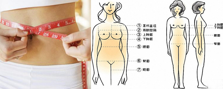 Corset - Ref 670915 Image 3