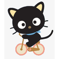 转转猫