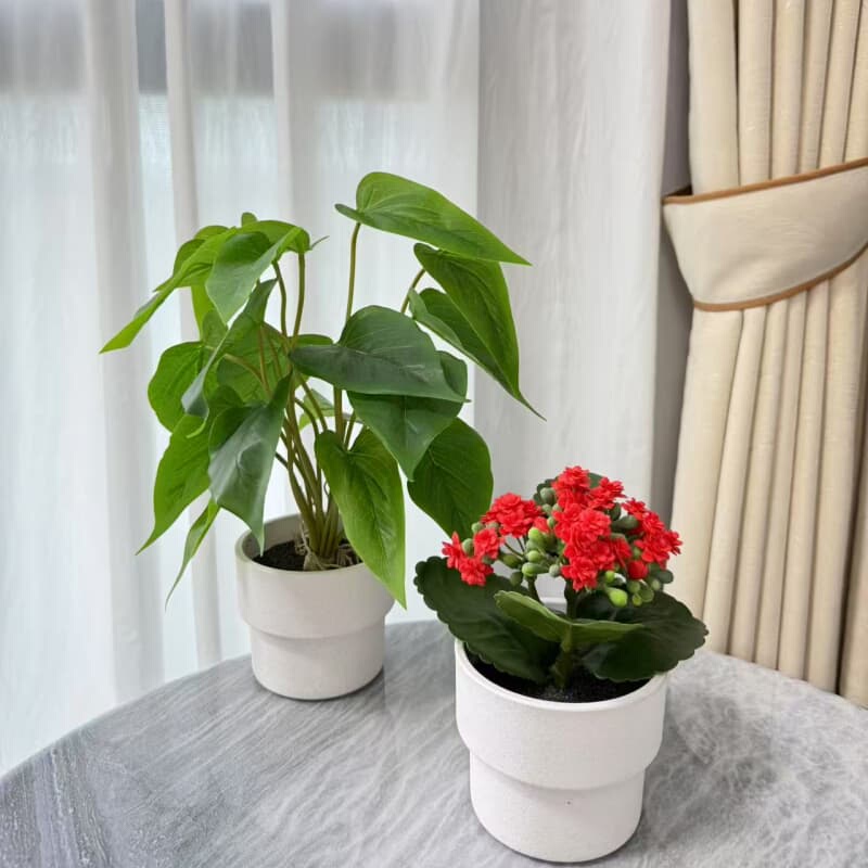 Artificial Green Plant Anthurium Leaf Potted Plant Indoor Decoration Fake Plant Pennywort Pastoral Desktop Small Ornament Bonsai Floral Art