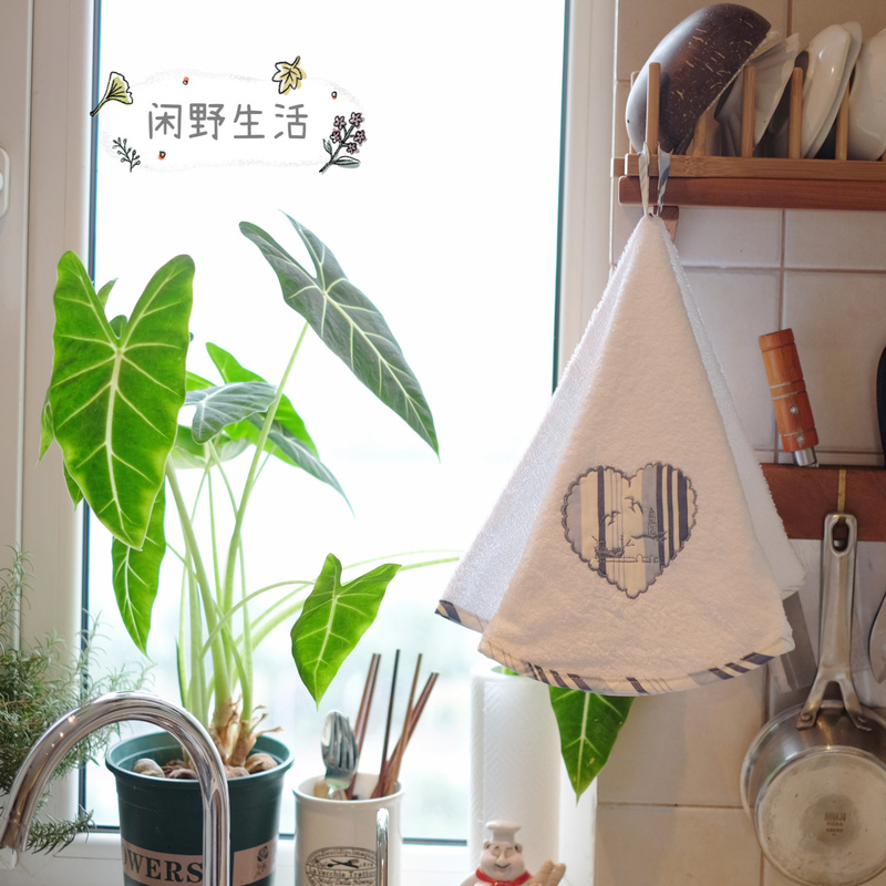 (2 Pieces ) European Romanticism Pure Cotton Hand Towel, Exquisite Embroidered Towel for Kitchen and Bathroom