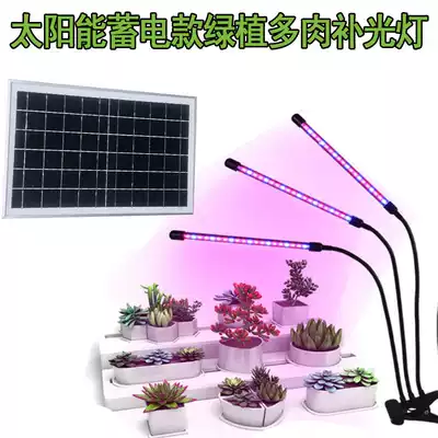Solar waterproof zero electricity fee green plant light growth light timing dimming Household USB clip fleshy fill light