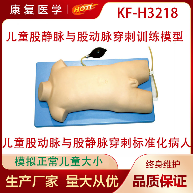 儿童股静脉与股动脉穿刺训练模型