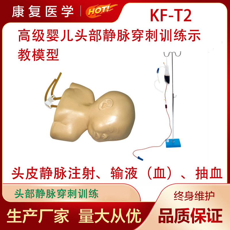 高级婴儿头部静脉穿刺训练示教模型 T2头皮静脉注射输液抽血