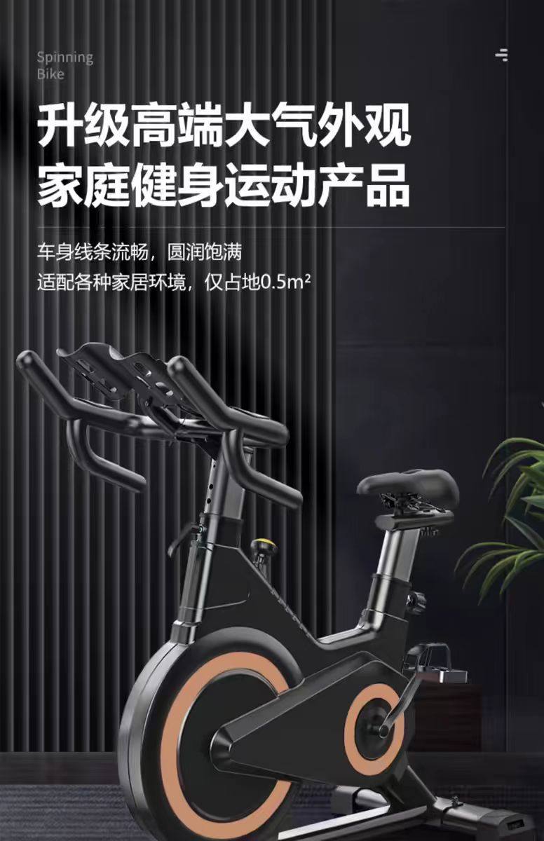 велотренажер 动感单车家用健身器材健身房专用室内运动减肥静音智能动力自行车 Walking the world