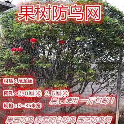 Anti-bird net orchard anti-bird net sky net fruit tree cherry grape fish pond greenhouse transparent nylon wire net breeding net