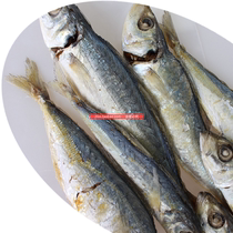 Cooked wild Balang fish Dried blue round trevally Pool fish Dried trevally Dried Balang fish Dried fish Ready-to-eat 500g