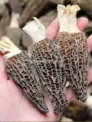 Head stubble large morel dried wild premium meat thick shearing handle Yunnan specialty fungi shiitake mushroom soup ingredients