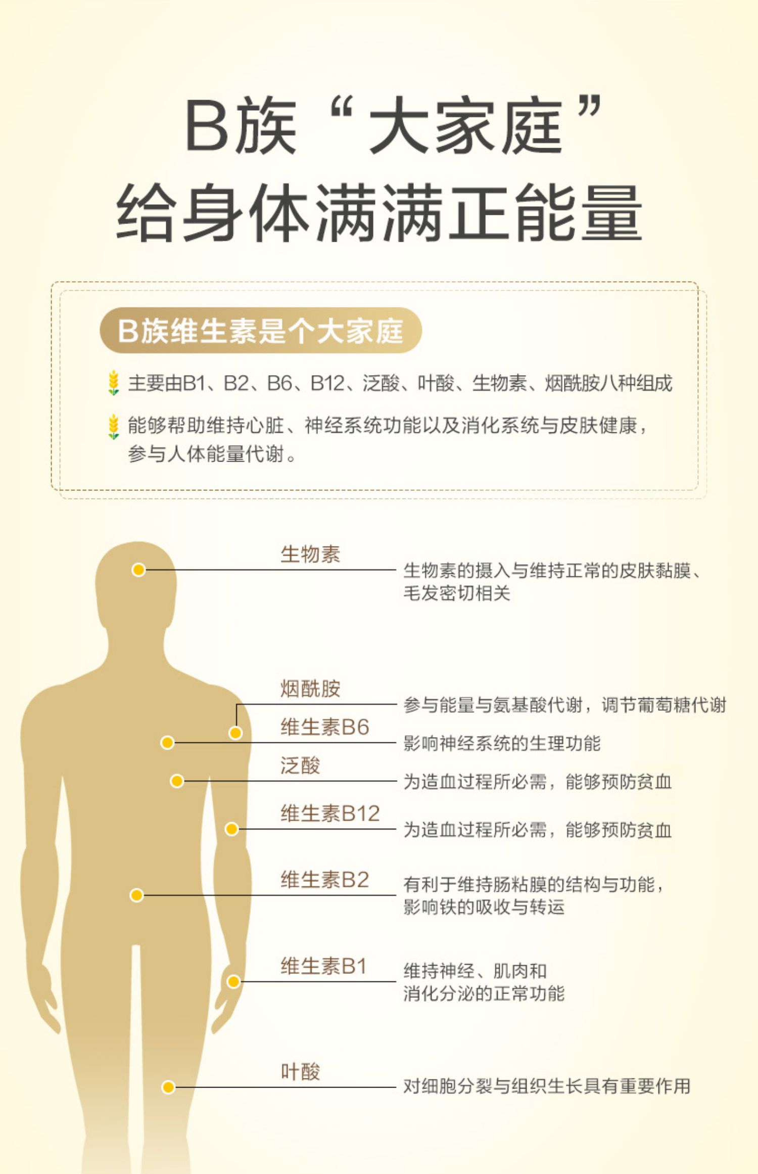 4瓶装！养生堂维生素b族180粒