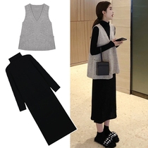 Pregnant women dress autumn 2021 New skinny skirt Korean dress fashion tide mother Spring and Autumn Sweater two-piece set