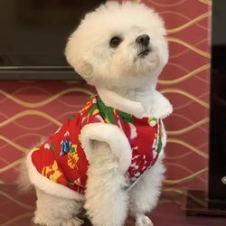 Dog Clothes, Winter Fleece-Lined Warm Pet Clothes, Teddy, Pomeranian, Corgi, Small and Medium-Sized Dog Pet Clothes