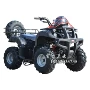 125cc Bulls ATV Quad Bike Tất cả địa hình Xe đạp địa hình xuyên quốc gia Địa điểm đua xe bãi biển xe điện 3 bánh trẻ em