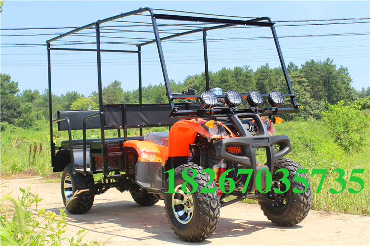 Zongshen 250CC big bull ATV ổ trục đôi hàng ghế bốn bánh off-road xe máy xem xe ATV xe điện 3 bánh trẻ em