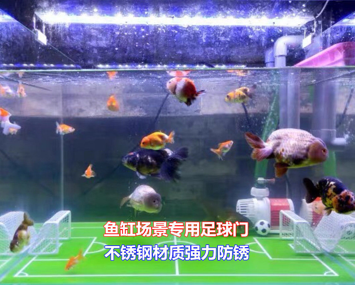 Lanshou Football Football Door Model Fish Tank Special Send Sink Water Polo Stainless Steel Material Preferential Promotion