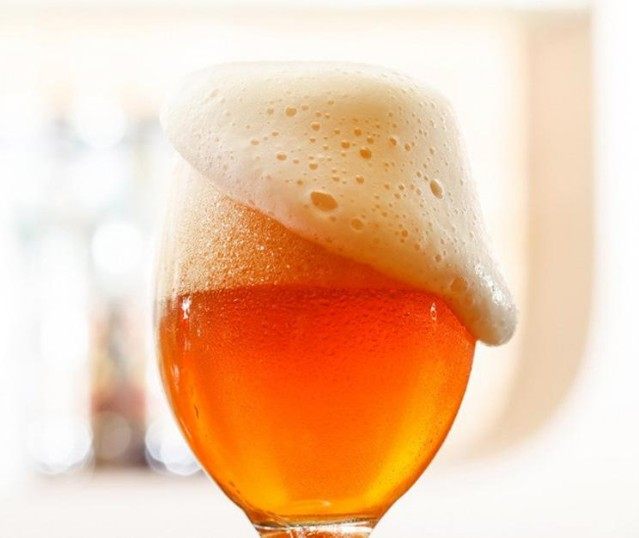 20 liters of classic Saisson beer raw material set high temperature fermented beer raw material package high temperature yeast home brewing raw material