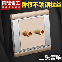 International Electrotechnical Switch Socket Panel Two Header Audio Dual Audio Champagne Gold Dual Audio Socket