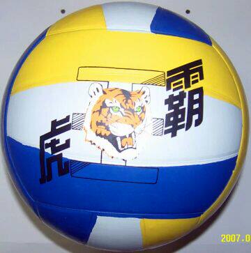 Ballon de volley-ball - Ref 2013831 Image 3