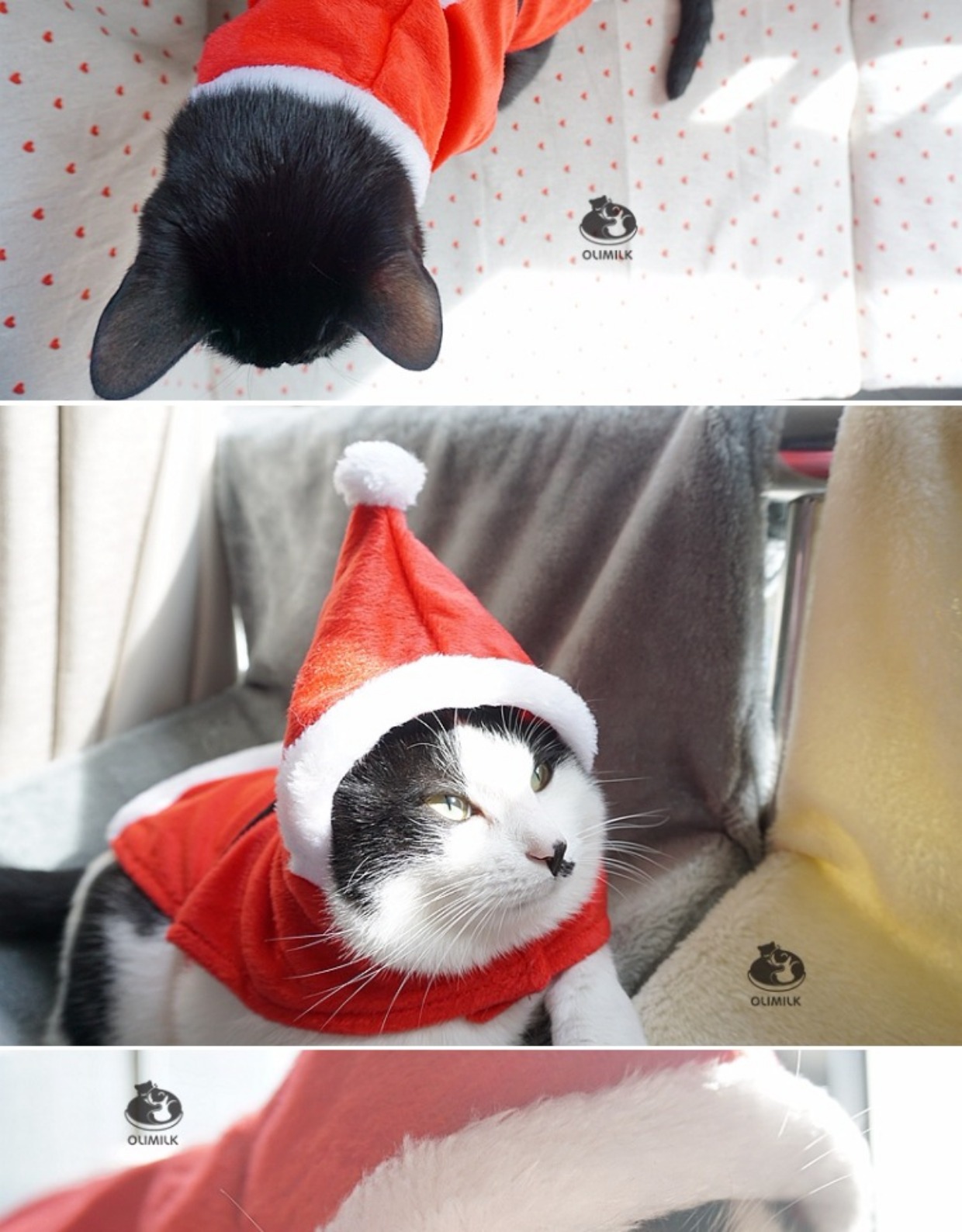 [Olimilk] Pet Christmas Series Trang phục Biến đổi Giáng sinh dễ thương Mèo Kitty Quần áo mùa đông - Quần áo & phụ kiện thú cưng phu kien cho meo