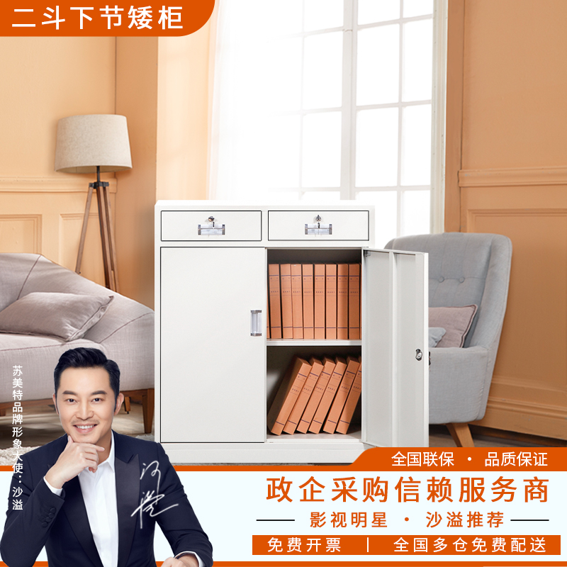 Tin cabinet low cabinet file cabinet A4 file cabinet financial information cabinet floor cabinet drawer storage cabinet office furniture