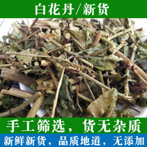 White Flowers Tan Medicinal Herbs Authentic wild Xie Sanniang Hundred Flowers 500 gr Can Beat Powder