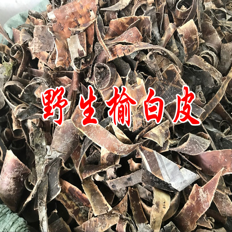 Zheng Zongyu Baipi Traditional Chinese Medicine 500 gr Xinyu Yu Peel Elm Elm Elm Elm Elm Elm Chinese Herbal Medicine Elm White Leather
