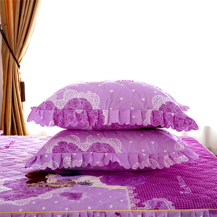 Thư mục dày bông gối cạnh sinh viên Hàn Quốc đơn gối cộng với bông gối bao gồm một cặp 48x74 cm mùa thu - Gối trường hợp gối lông vũ