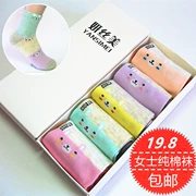 Vớ cotton nữ mùa thu và mùa đông vớ cotton vớ cotton dễ thương hoạt hình