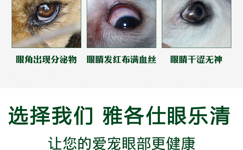 Jacobs Eye Le Khánh Pet Dog Cat Eye Drops Ngăn ngừa nhiễm trùng Viêm kết mạc Viêm khớp Khử trùng - Thuốc nhỏ mắt nước mắt nhân tạo refresh