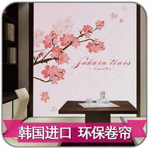 Simple imported study tatami pattern printing private custom roller curtain curtain up and down curtain finished custom