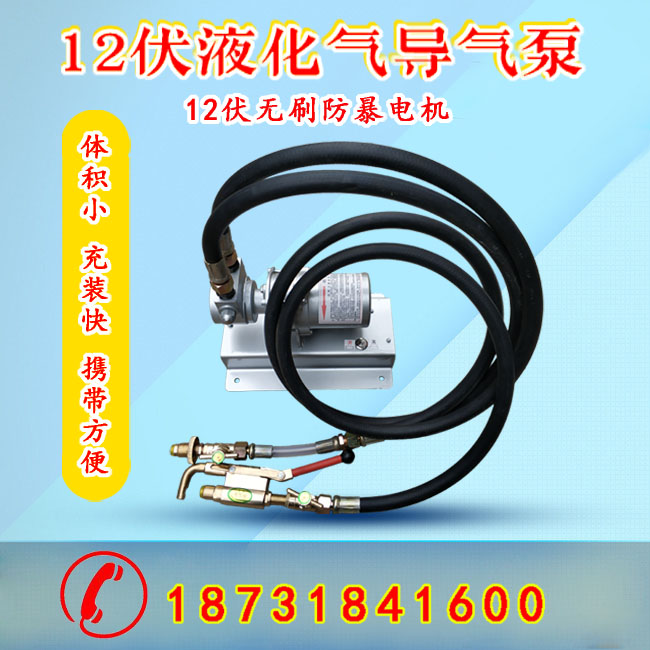 12v liquefied gas guide pump 12v liquefied gas inverted air pump 12 volt liquefied gas inverted air pump propane pump inflated