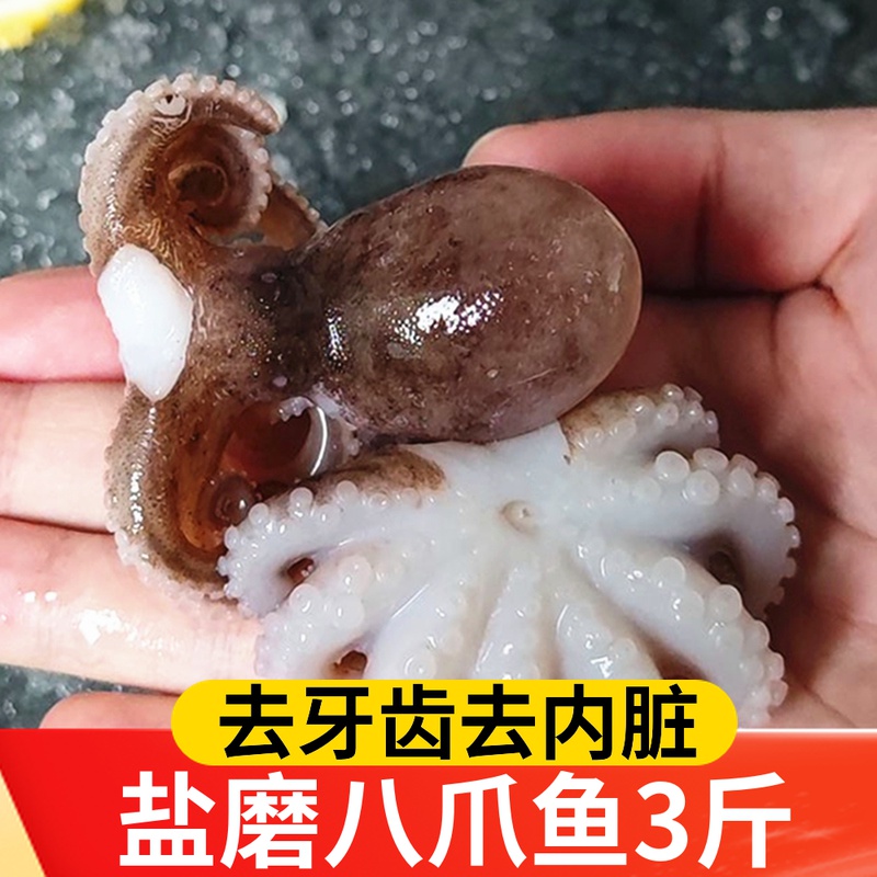 Fresh frozen fish fresh frozen mini fish small fish fresh frozen frozen seafood aquaculture hotels for commercial use