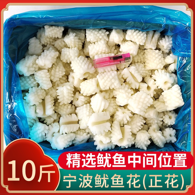 Fresh frozen cuttlefish squid squid roll fish Ningbo seafood 10 catty hotel commercial hot pot ingredients