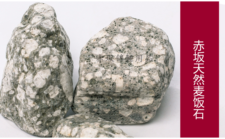 Akasaka Koi pool filter wheat stone pool filter supplies aquarium filter materials purify water-Friend of the fish Koi Aquarium