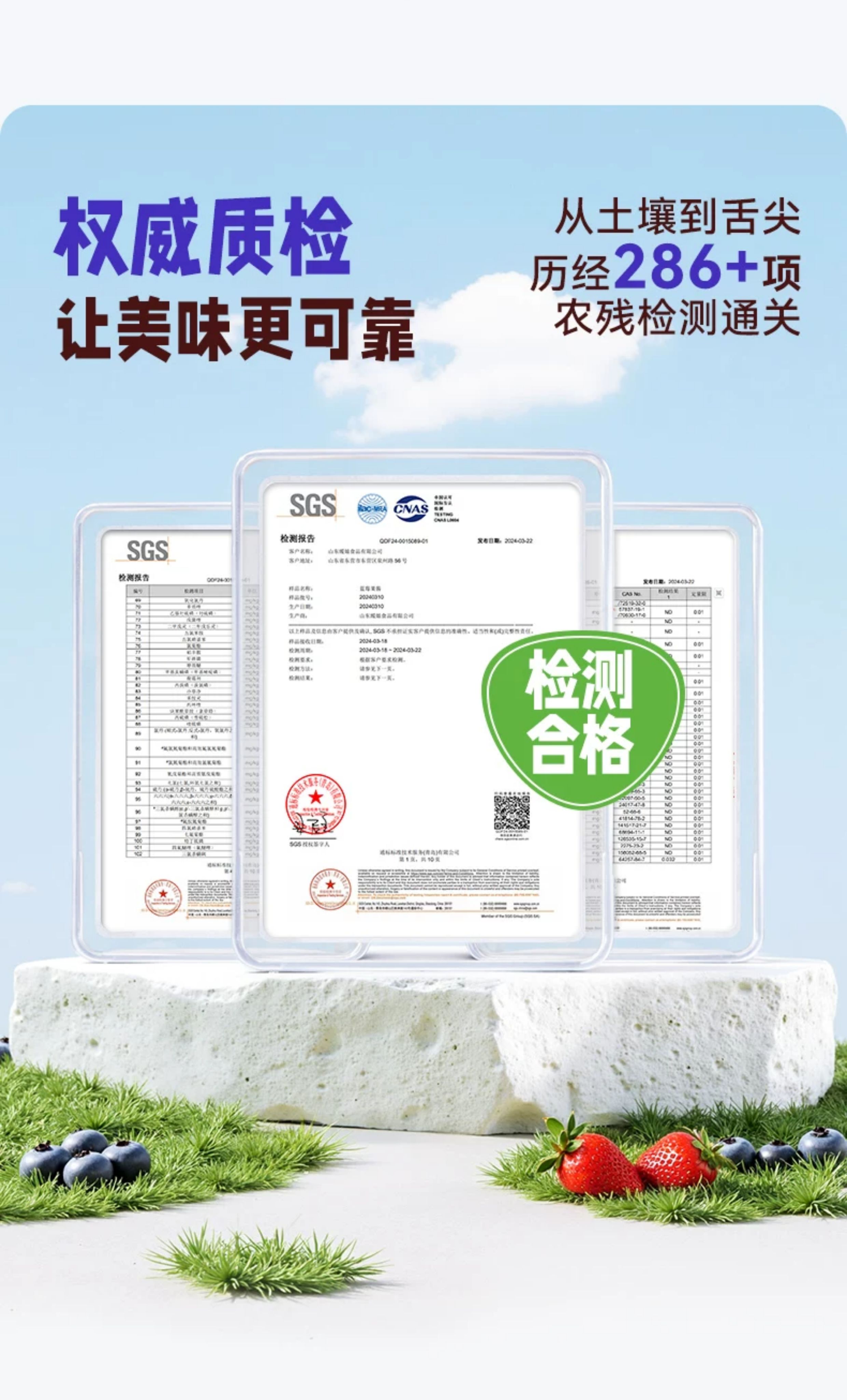 安享好物 安享S级果酱-展艺臻选 有机 蓝莓果酱 国标 