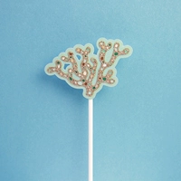 Коралловая карта